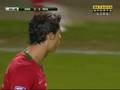 Cristiano Ronaldo vs Sweden(2008/2009)
