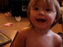 frog book