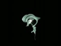 Eyeliner 3D - Musion Eyeliner Holographic Showreel