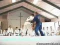 Martial Arts Master