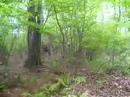 ManBearPig -kSb- ManBearPig -kSb-