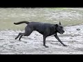 Casio EX-F1 Slow Mo