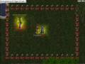 aErion vs TonGo imperiumAo duelos