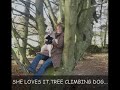 Jane and ginny the bedlington up a tree. Jane and ginny the bedlington up a tree.