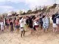 rei dos frangos rei dos frangos