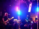 Alley Cat - Sherwood Alley Cat - Sherwood
