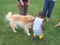 Darcy Joue avec un chien