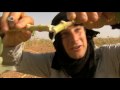 Man vs. Wild - Bear's Ultimate Survival Guide Part Two  - Man vs. Flora