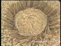 UFOTV: Crop Circle Mystery Part 2-On the Ground