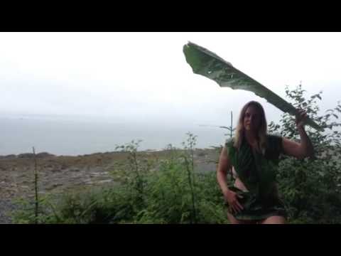 how to harvest skunk cabbage