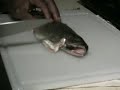 How to skin a trout or filet a fish