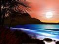 [talla 2xlc] - shine