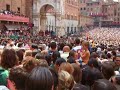 Tratta Palio dell assunta 2008: al drago fedora saura
