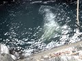 Diving in