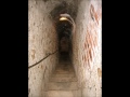 Click here to watch this video The House of the Scorpion - Book Trailer
