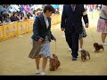 めざせINTチャンピオン♪（月のしずく　柴咲コウ）