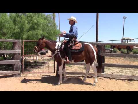Dale Fredricks Horse Training - How to slow down, stop and back up a horse with your body.