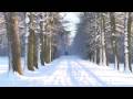 Winterspaziergang Ostenfelde