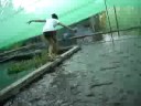 fish pond fish pond