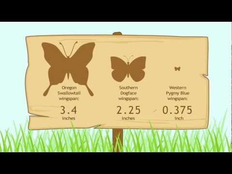 how to read decimals