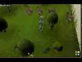 videos de a nice day out