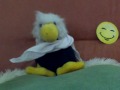 Host Nessie down with Swine Flu! Message from Elsa Henne.
