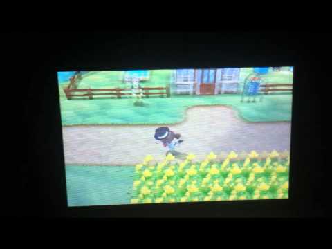 how to feebas in pokemon x