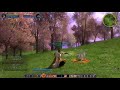 Palladiuman: LotRo The Lord of the Rings Online(beta) Review