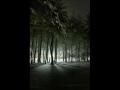 Amaranth - spleen (radio edit)