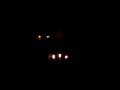 videos de Mare live at nidrosian black mass 1