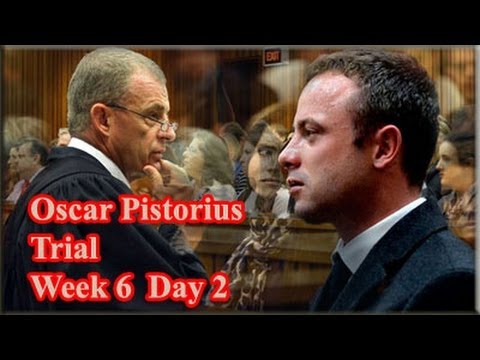 15 - State Prosecutor Gerrie Nel continue with his cross-examination of paralympian Oscar Pistorius for at least another day or two.