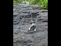 Click here to watch this video becky hsu climbing the nose 5.7+ West Point May 18, 2012