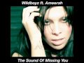 Wildboyz Feat Ameerah-The Sound Of Missing You (Dave Ramone Club Mix)[2010]