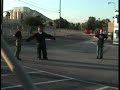 K9 Attack  dog attack