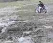 videos de yenkees