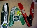 Troféus da Torcida Império AlviverDe