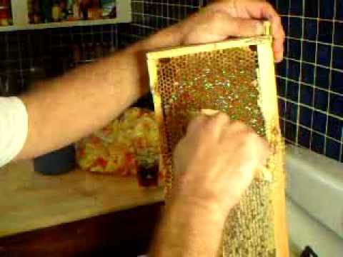 how to harvest honeycomb
