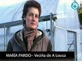 Nadal tóxico nas Encrobas