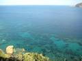 videos de Tauchen (Diving) in Campese, Isola del Giglio, Italy # 2