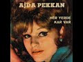 Her Yerde Kar Var