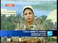Lubna Ahmed Al-Hussein, Sudanese journalist