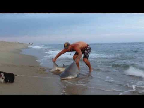 Echó la caña al mar… y pescó un tiburón de 90 kilos