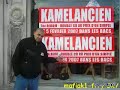 kamelancien - un mec bien