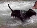 Shooting The Tube