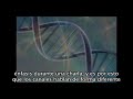 At the point of the return of Ni-Bi-Ru the first wave would engulf your world and you would instantly activate your light body, move through portals, gateways and stargates and return home to_the New World in the year of 2012.__Music - Freeplay Music LCC