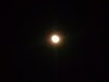 Roqueta to the moon Roqueta to the moon