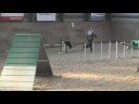 Badut og Morten i ag1 i ribe 12-10-2008