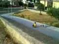 Sitting Board-Sacacorchos-Davili vs Juanito