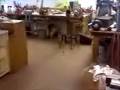 Trumpet Bowling
