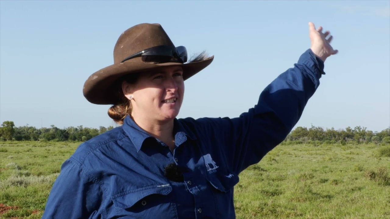 Glenstar: Spreading grazing pressure using water and fencing